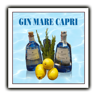 Bottone GRIGLIA ok400 min